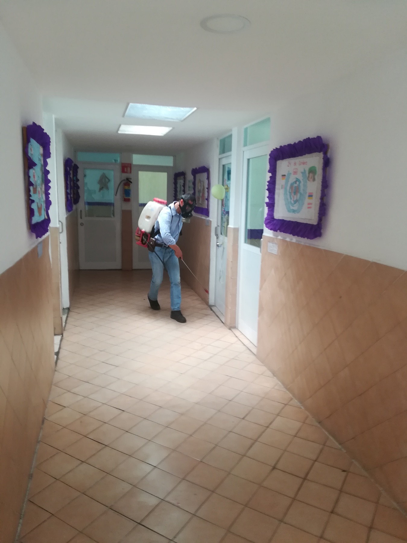 Actividad de la comunidad escolar